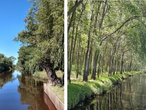 Terreno en Venta en Zarate, USD 38.000