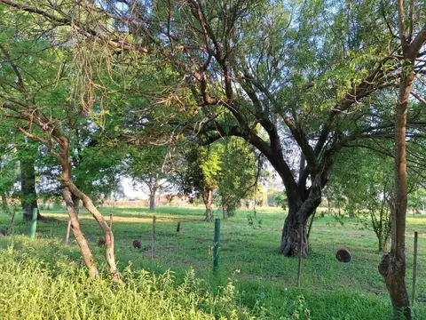 Tomas Arias y Nieve Morales