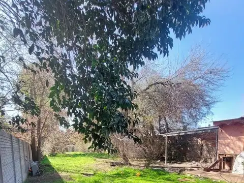 San Patricio 300
