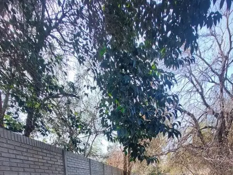 Terreno en Venta 67  mts Fondo
