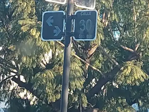 Calle 525 bis y 30 100