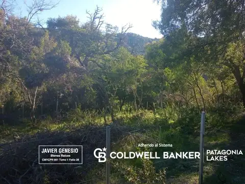 Terreno en Venta 25  mts Frente