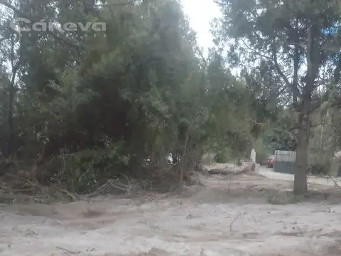 Río Minero al 100