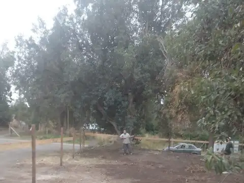 Río Minero al 100