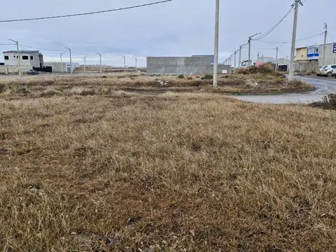 Gabrielli Fabian Mario 900