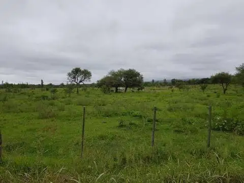 Terreno en Venta de 3714,0 m2