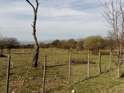 Terreno en Venta de 3714,0 m2
