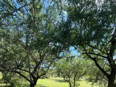 Terreno en Venta de 1500,0 m2