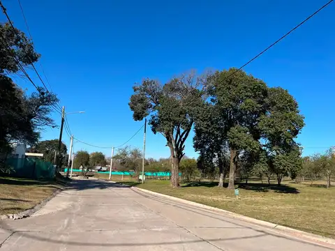 Gustavo Centeno 1000