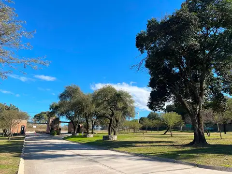 SE VENDEN LOTES LA ADELA UNQUILLO - SEGURIDAD 24/7