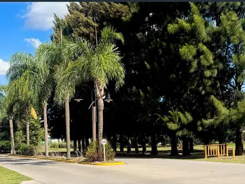 Caceres  al 6500