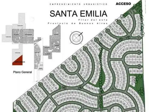Santa Emilia Pilar del Este 100