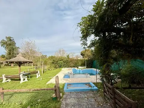 Orión  al 300