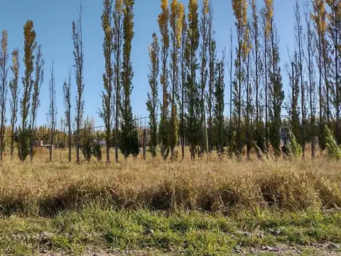 Fincas de Vista Alegre III, Ruta 100