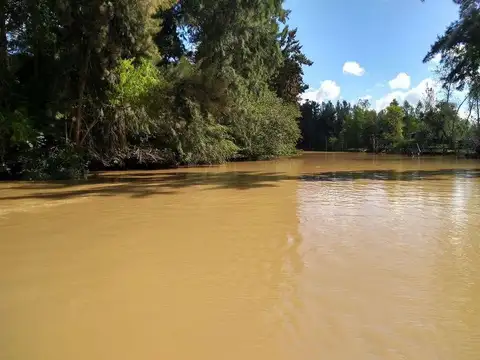 Rio / Arroyo Espera 100