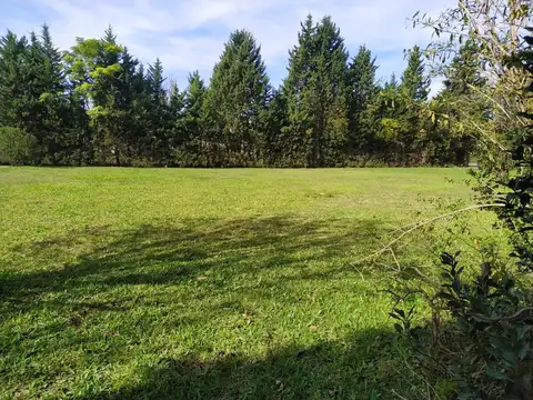 Terreno en Venta, FOS 50