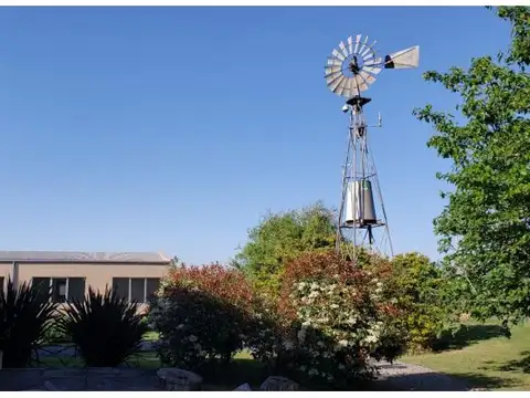 El Molino - Roldán - LOTE 134A