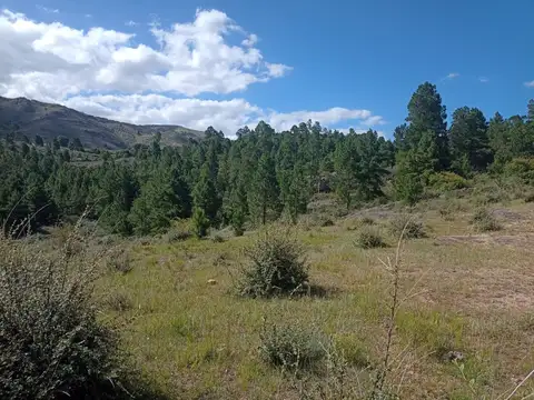 Terreno en Venta en La Cumbrecita, USD 290.000
