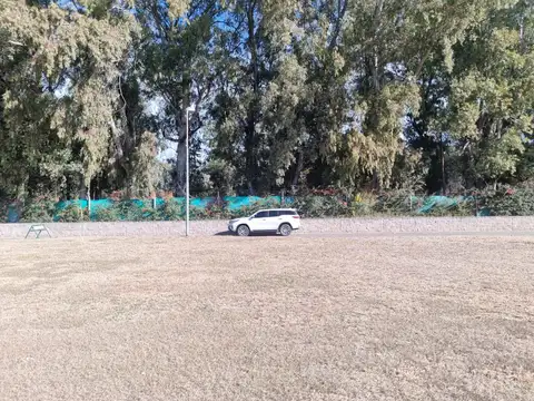 Terreno - Venta - Argentina, Juana Koslay