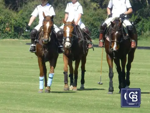 Venta de Lote interno en Technopolo, General Rodriguez, Pilar