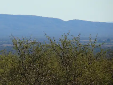 Terreno en Venta de 12000,0 m2