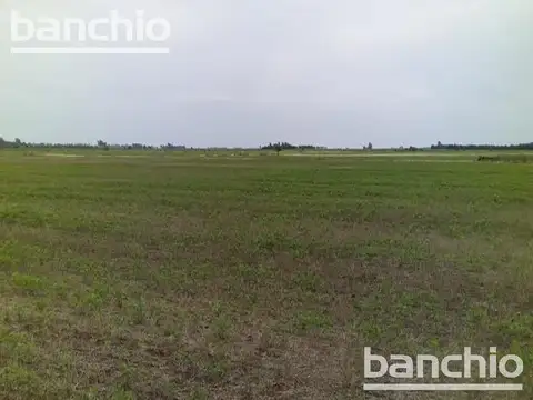 Campo - Villa Eloisa