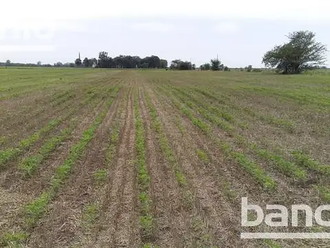 90 ha Mixtas Villa Eloísa