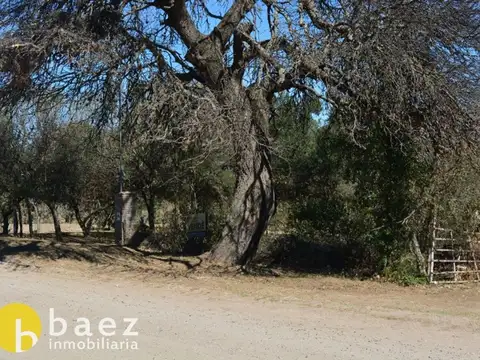 Terreno en Venta de 650,0 m2