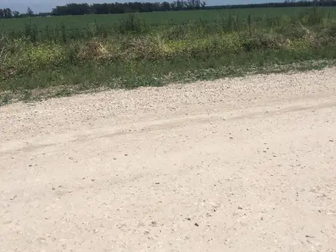 Campo en venta - 537 Hectáreas - General Alvarado