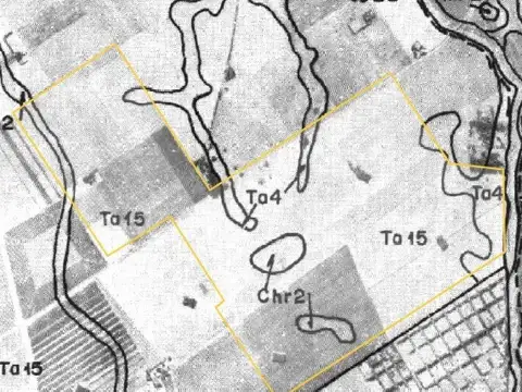 Campo en venta - 537 Hectáreas - General Alvarado