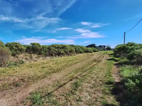 Terreno en Venta de 505,0 m2