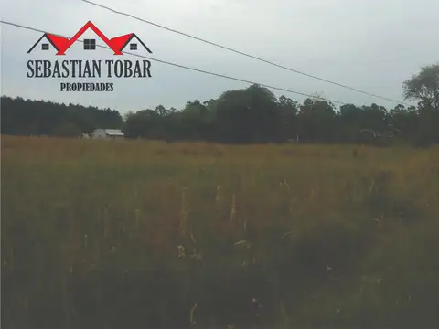 IMPORTANTES LOTES ZONA CAPILLA MARÍA INMACULADA - ESQUINA (C