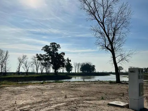 Terreno en Venta 12  mts Frente