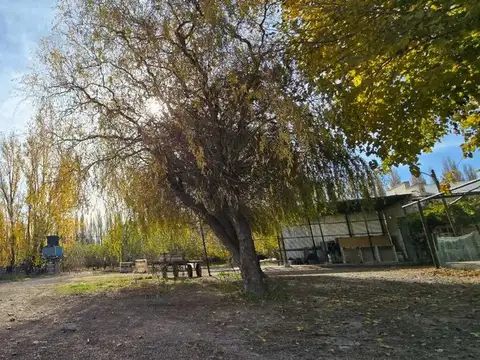 VENTA CHACRA VISTA ALEGRE SUR
