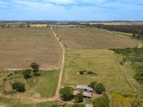 554 Ha Super estratégicas, sobre ruta 1.