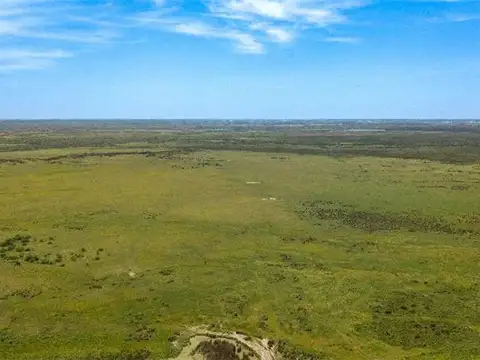 Campo en Venta de 554  ha