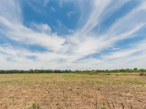 PROPIEDADES RURALES - AGRICOLA - ZONAS INDUSTRIALES