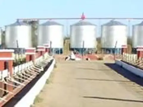 Campo 123 ha Feedlot Villa de Soto