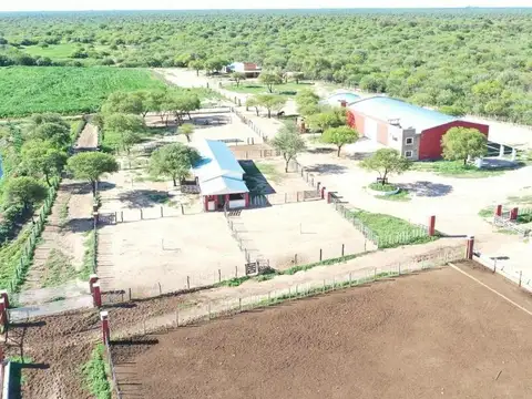 Campo Feedlot En Venta Villa De Soto S00