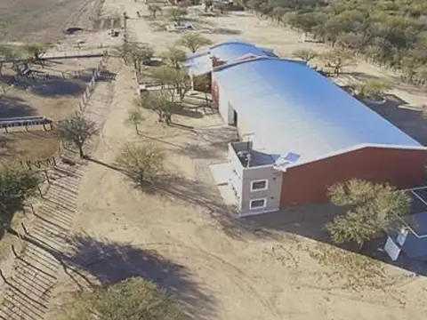 Campo Feedlot En Venta Villa De Soto S00