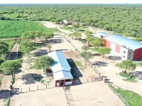 Campo 123 ha Feedlot Villa de Soto