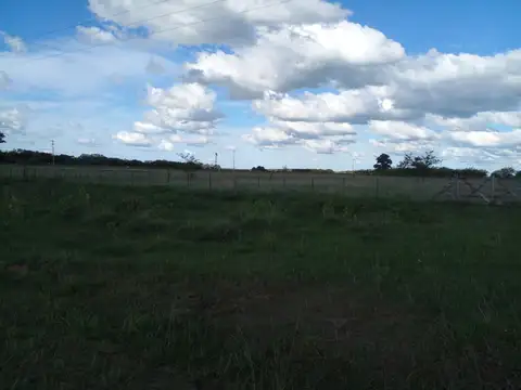 Vendo. 2 has en Cañuelas, estan ubicadas en la ruta 16.  A 9 km de la ruta 215