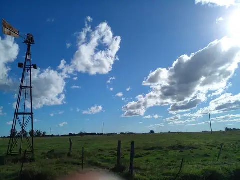 Campo en Venta Mixto