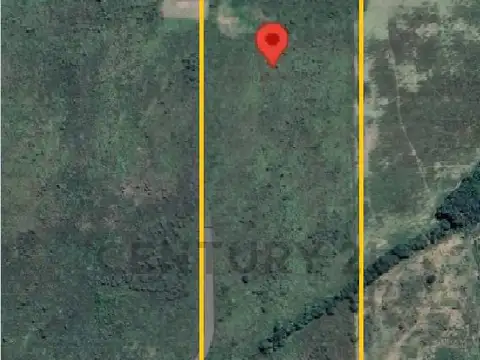 CAMPO EN VENTA - CAMINO SAN CARLOS 6 HA