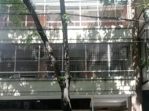 Departamento - P.Rivadavia