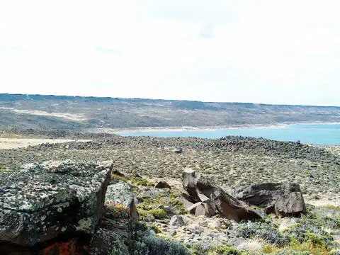 INMOBILIARIA COMODORO - Campo - Gobernador Gregores - Pesca - Producción