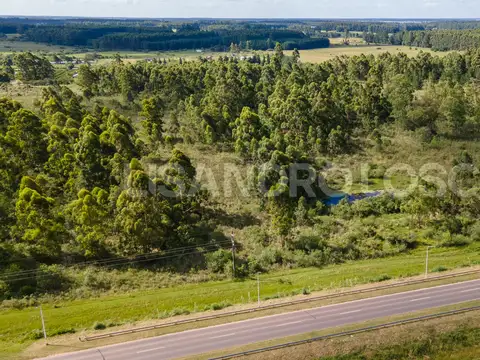 Terreno en Venta de 75000,0 m2