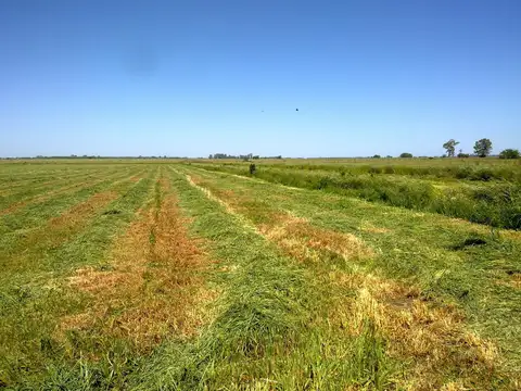 Ruta 52 Y Las Garzas