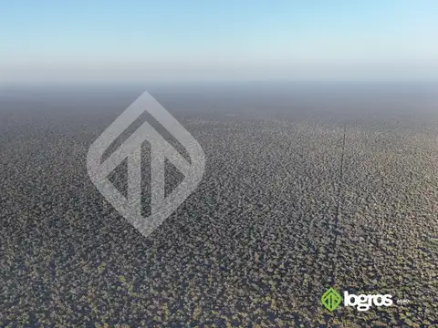 Campo en venta a desarrollar de 1944 ha | Anta | Salta