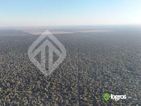 Campo en venta a desarrollar de 1944 ha | Anta | Salta